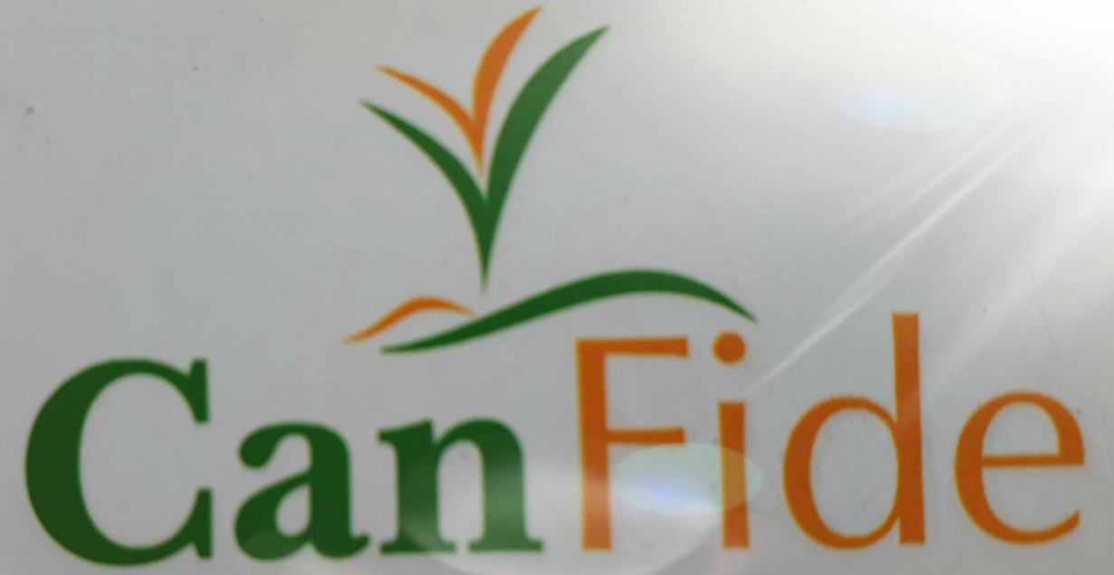 Can Fide
