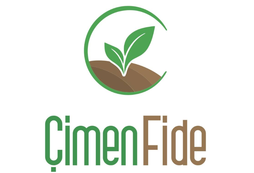 Çimen Fide