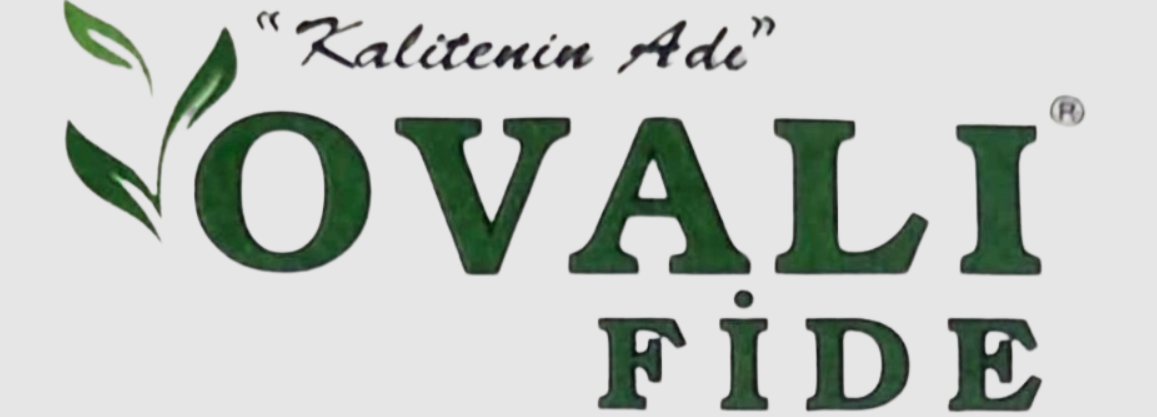 Ovalı Fide